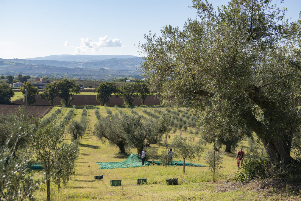 Magazzino lunabianca